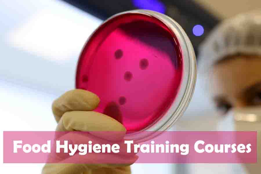 Food Hygiene Training Courses