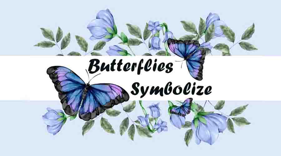 Butterflies symbolize