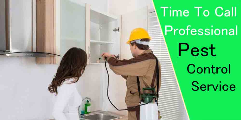 When Is It Time To Call A Professional Pest Control Service?