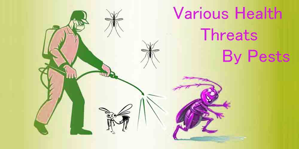 Various Health Threats By Pests