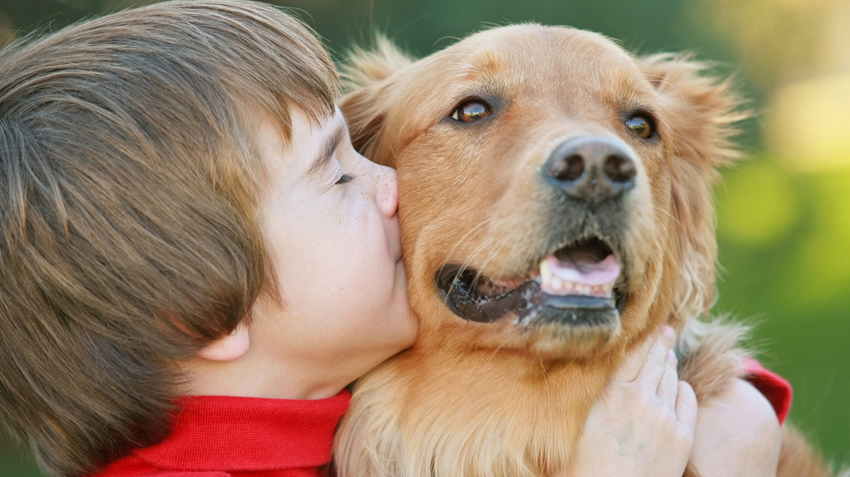 How to Teach Your Child to Primary Pet Care