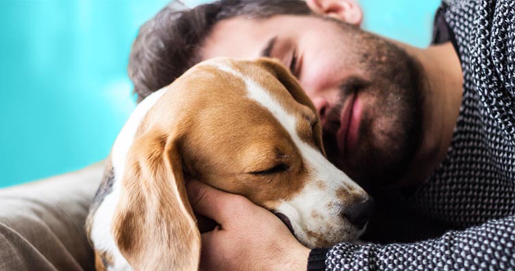 How to Show Your Dog That You Care in 6 Easy Steps