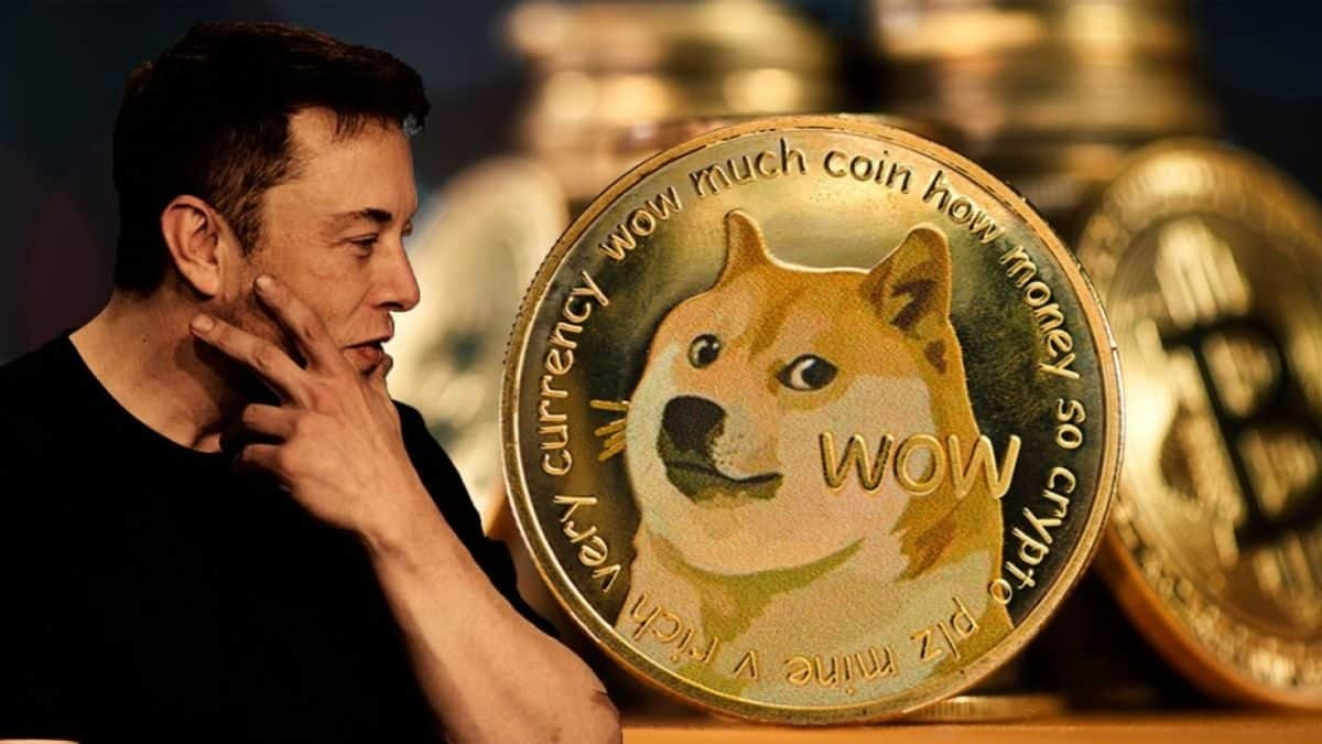 Discover The Wide Range Of Bonuses and Offers Available At Dogecoin Gambling Sites