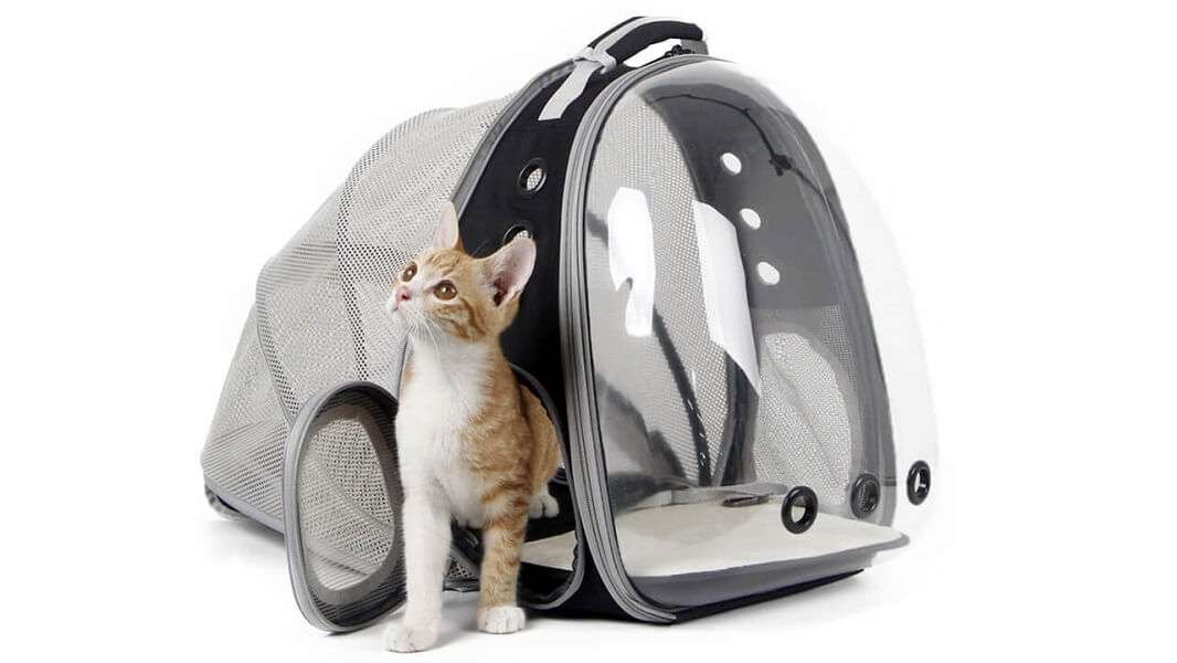 Halinfer Expandable Cat Backpack Carrier Review