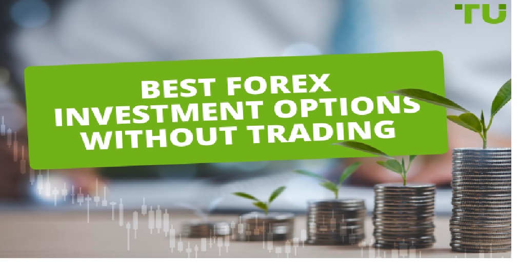 What is the Most Effective Way to Begin a Forex Brokerage?