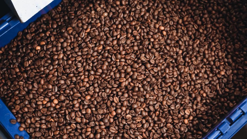 Enjoy Freshly Roasted Coffee with a Coffee Bean Subscription