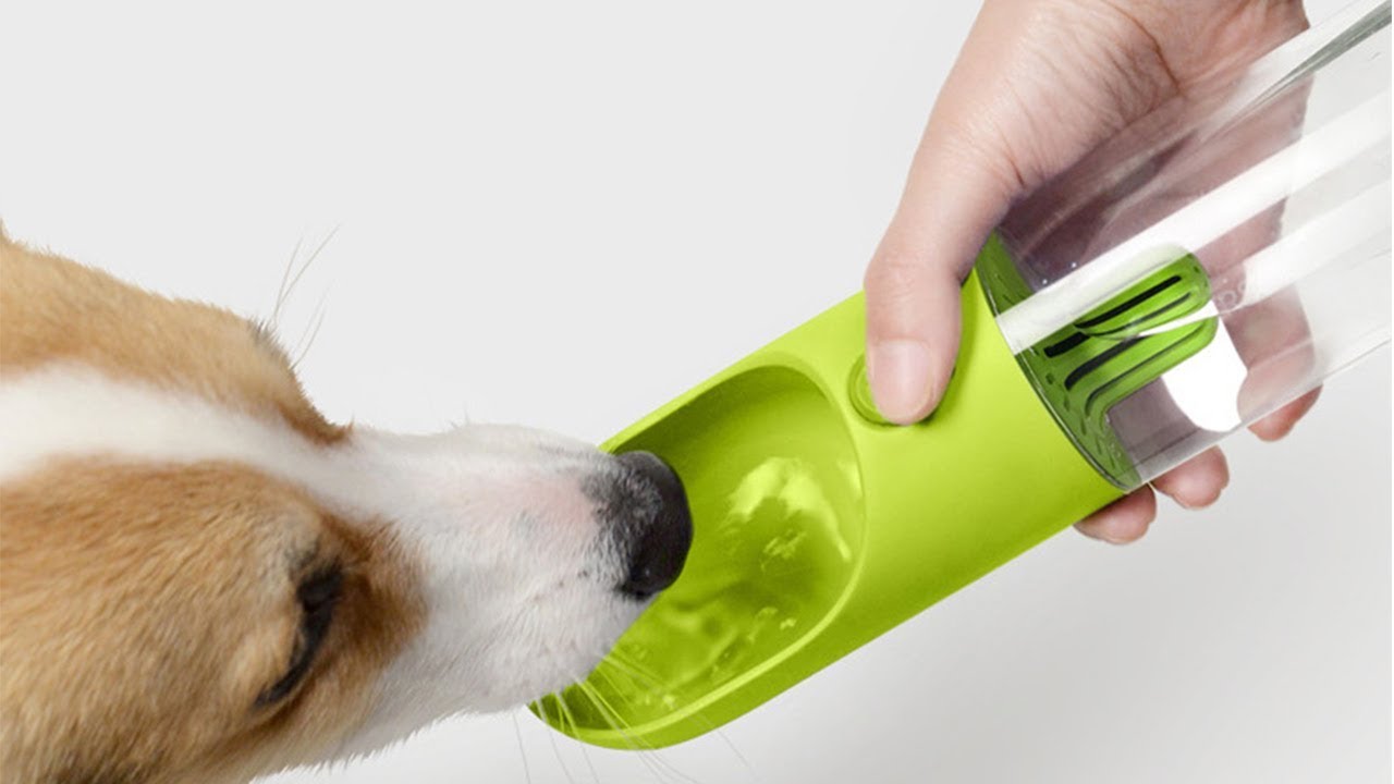 AsobuBottle.com is a Great Gift for Dog Lovers.