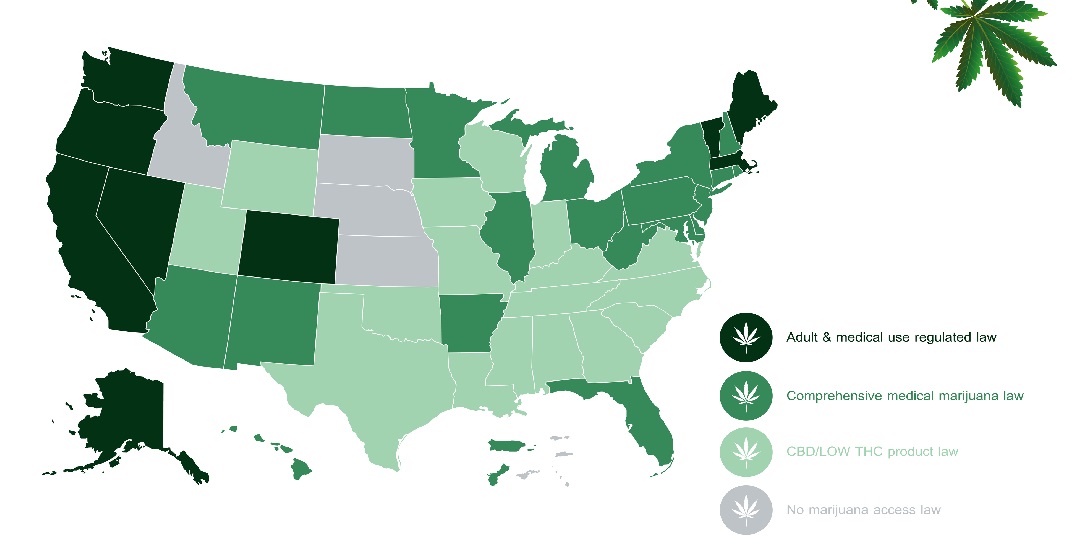 Where is Growing Weed Legal In The United States? Marijuana Cultivation Regulations