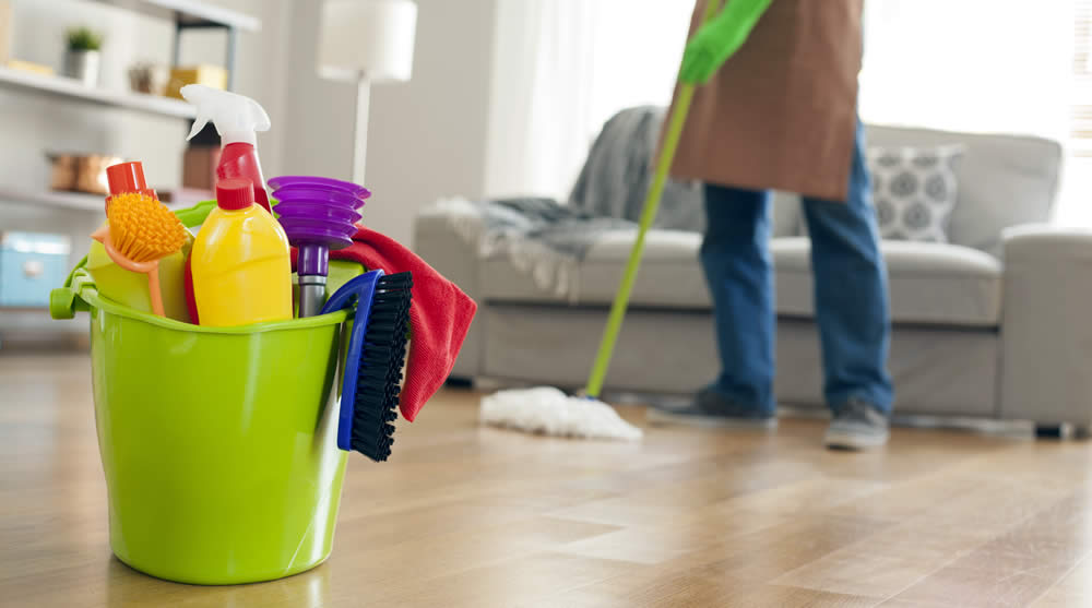 The Art of Specialized Cleaning: Elevate Your Space
