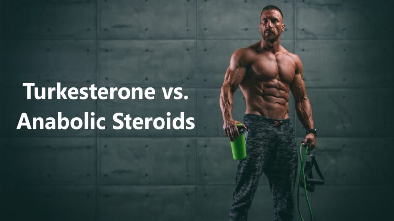 Turkesterone vs. Anabolic Steroids: Understanding the Differences