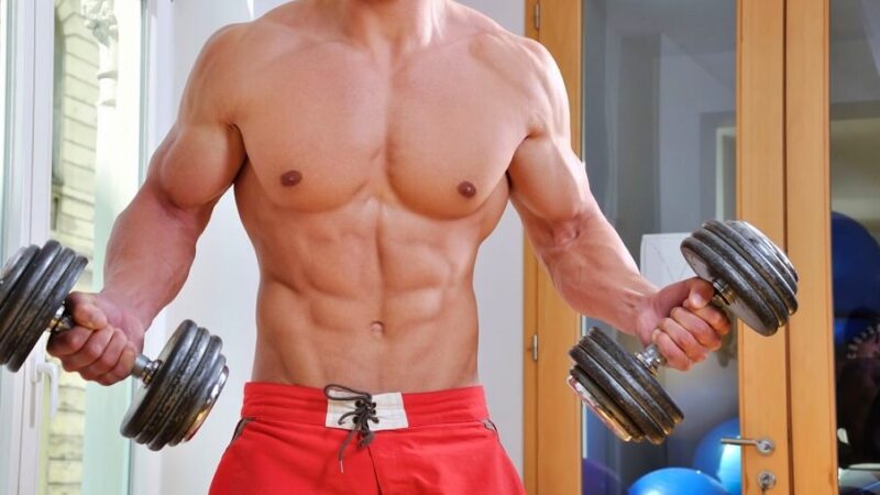 Wellhealthorganic.Com/How-To-Build-Muscle-Know-Tips-To-Increase-Muscles