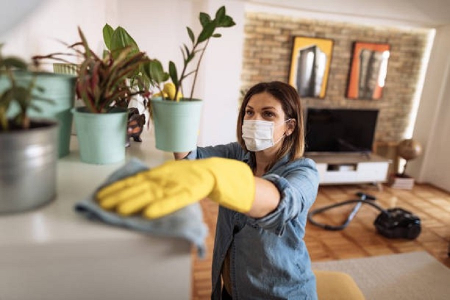 Protecting Your Health: How to Prevent Your Home from Making You Sick