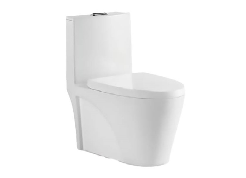 Elongated Dual Flush Toilet Installation: A Step-by-Step Guide