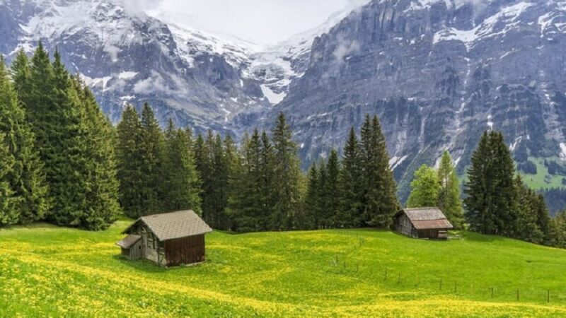 Top Industries to Invest in Switzerland: Opportunities for International Entrepreneurs