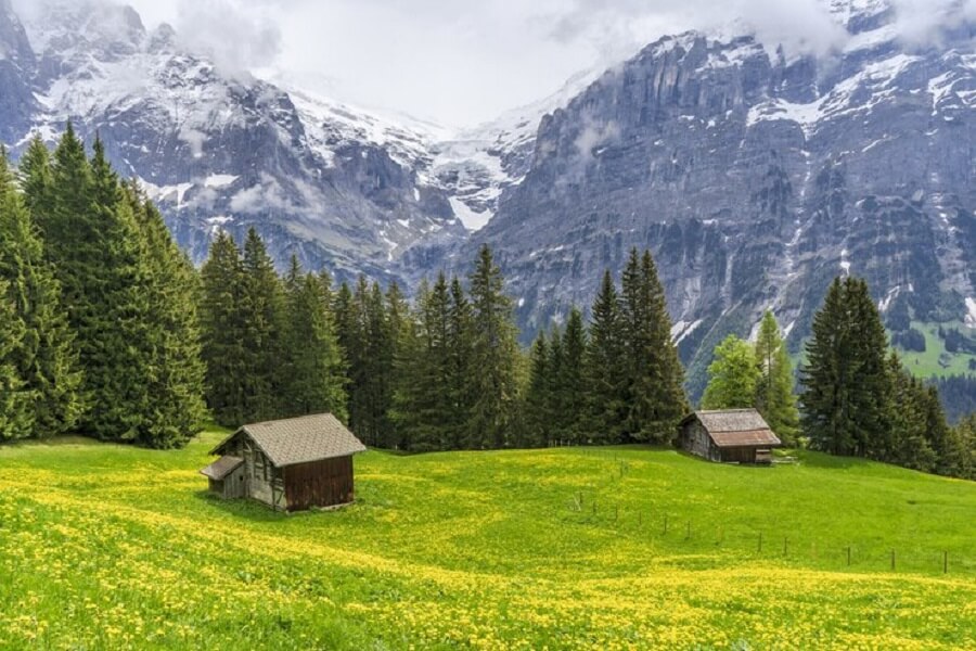 Top Industries to Invest in Switzerland: Opportunities for International Entrepreneurs