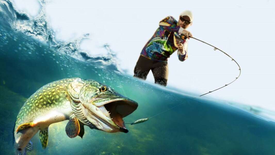 Discover the Advantage of Fishing with a Professional Guide