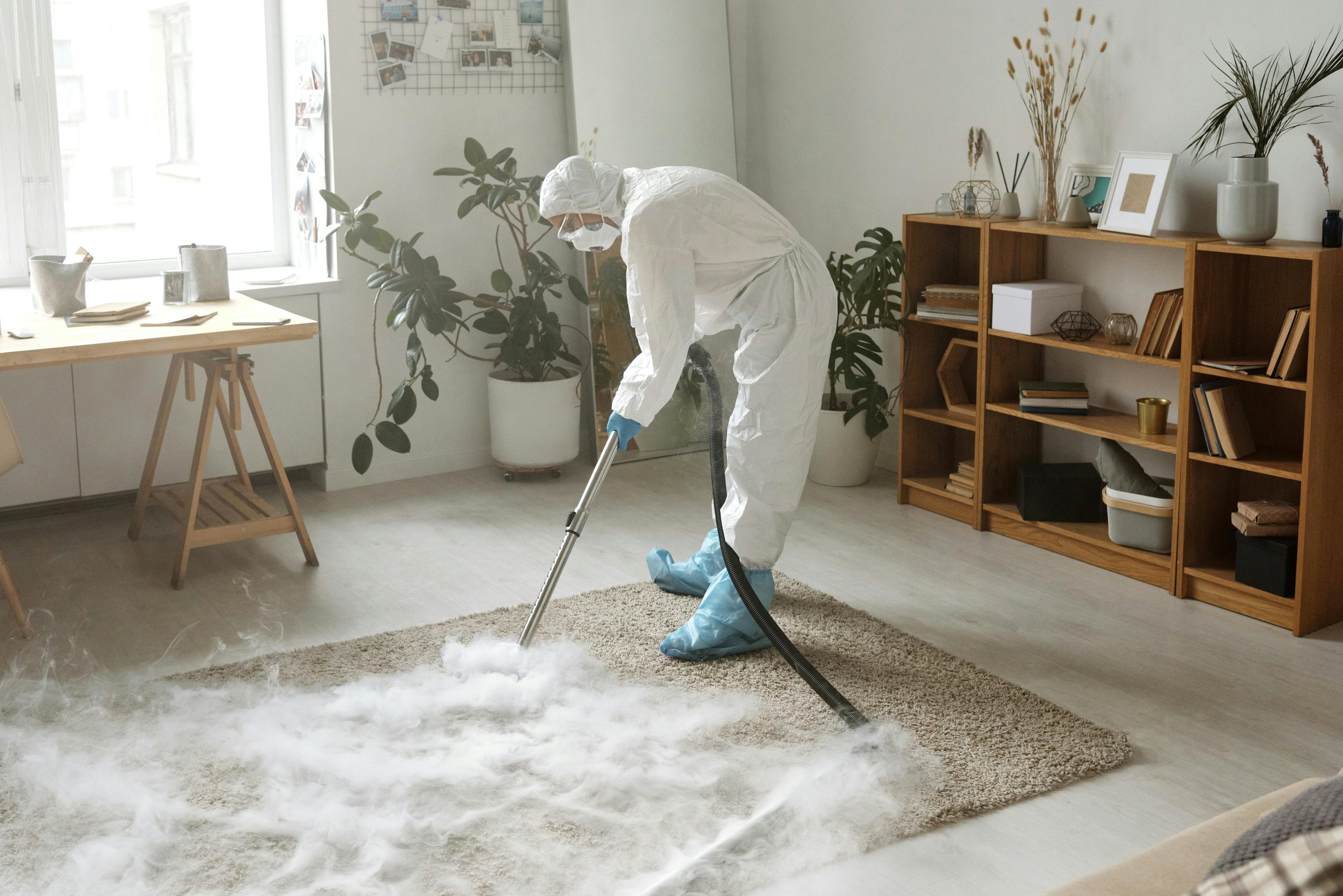 Thinking of a New Carpet? Clean That Dirty Carpet Today First