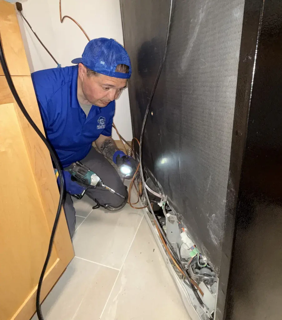 Repair or Replace an Appliance?
